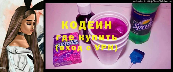 стаф Ельня