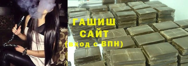 стаф Ельня