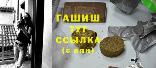 стаф Ельня