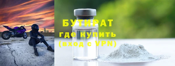 стаф Ельня