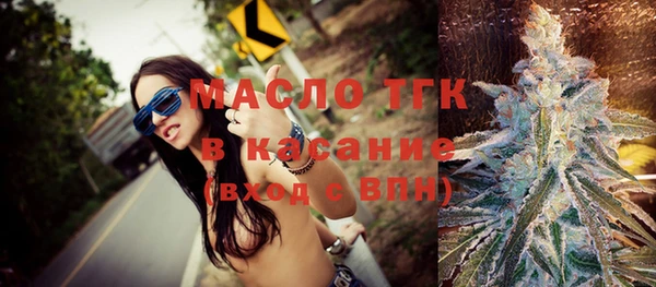 стаф Ельня