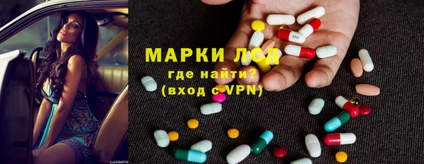стаф Ельня