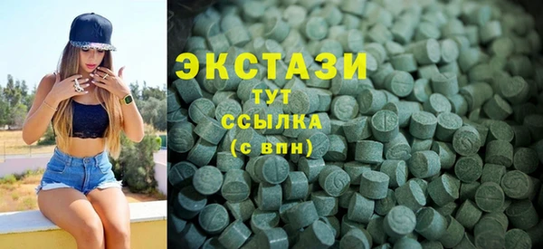 стаф Ельня