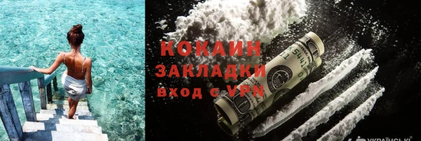 метадон Елизово