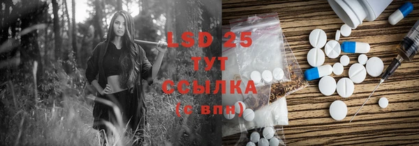 стафф Елабуга