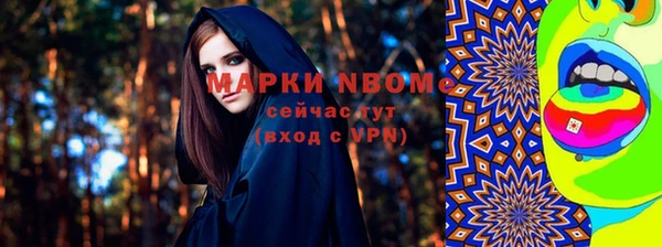 стаф Ельня