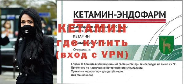 стаф Ельня