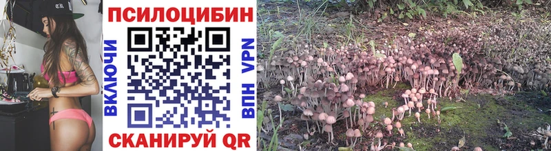 Галлюциногенные грибы Cubensis  Себеж 